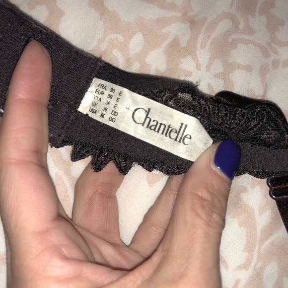 Chantelle Brown T-Shirt Bra - Picture 6 of 6